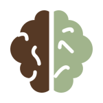 Common and complex diagnoses icon